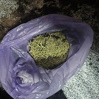 Если в окне горит светодиодная лампа, это необязательно помидорки выращивают... 4