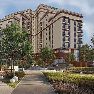 Вы удивитесь от такого борского пейзажа 3