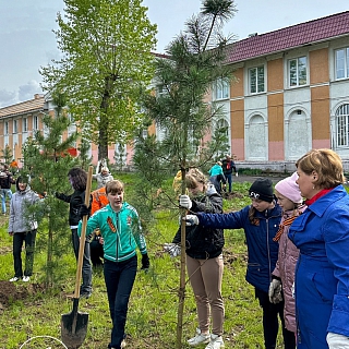 Новая Аллея появилась на Бору 1