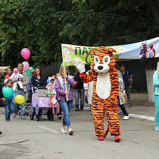 Парад детских колясок прошел на Бору 7 июля 7