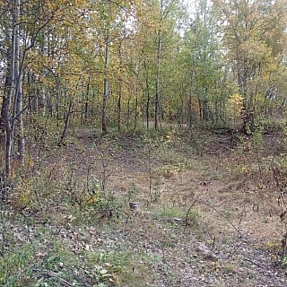 История с манекенами официально закрыта 2