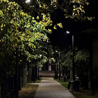 Какие магазинчики хотят видеть борчане в парке? 1