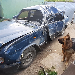 Двое погибших на дорогах Бора за неделю 1