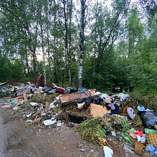 Большой пост про мусор, которая написала москвичка, бывающая на Бору 2