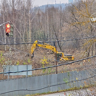 Около озера Бездонное началась вырубка деревьев 2