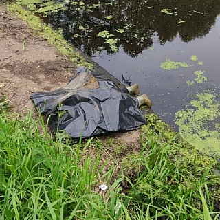 Поиски 5-летнего мальчика на Бору закончились трагедией 1