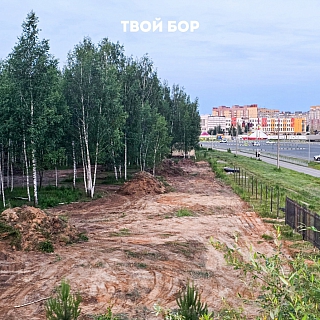 На Бору появится «Россия в миниатюре»! 3