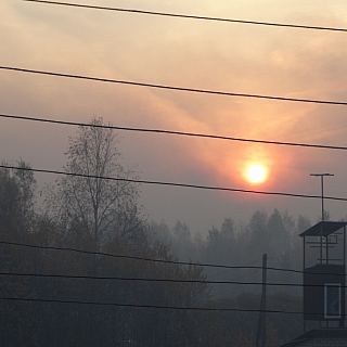 Ситники задыхаются от торфяного дыма 1