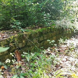 Могилы пленных немцев на Бору 5