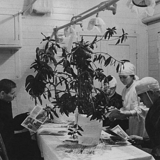 Рассказ Юрия Михайловича Югина про эвакогоспитали на Бору во время Великой Отечественной войны. Часть 1 3