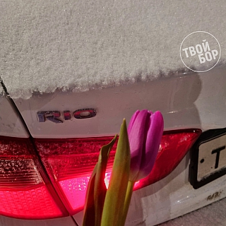 Борчане готовят сюрприз к 8 марта 2