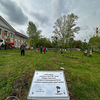 Новая Аллея появилась на Бору 4