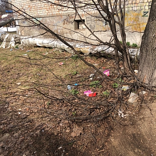 Старая борская история возвращается? 1