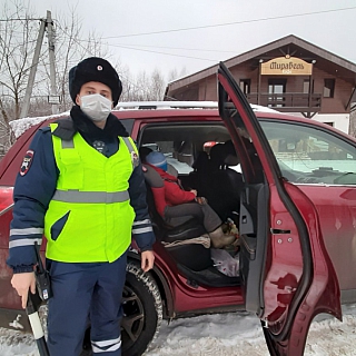 Борские автополицейские подвели итоги профилактического мероприятия «Главный пассажир» 2