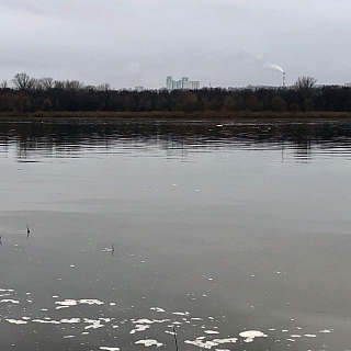 Волга в районе Бора заплыла соляркой? 1