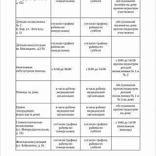 Работа ГБУЗ НО «Борская ЦРБ» с 1 ноября по 5 ноября 2025 года 2