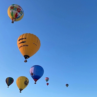 Бор порадовала фиеста аэростатов 4