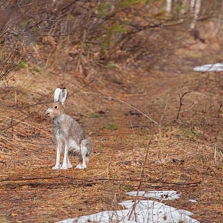Итоги 2019 года: номинация "Чудо природы" 3