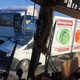 Перевозивший группу детей автобус попал в ДТП на Бору 8 января 1