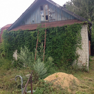 Борчанин десять лет прятал труп в подвале 1