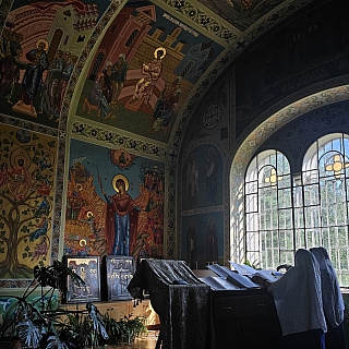 Кто же догадался сделать это в борском лесу? 3