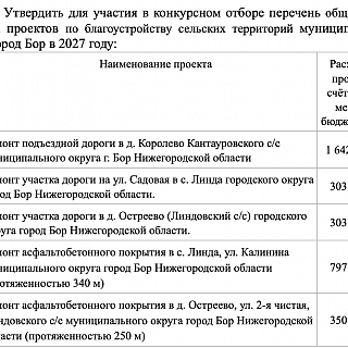 Борской администрацией утвержден перечень общественно значимых проектов по благоустройству сельских территорий 1