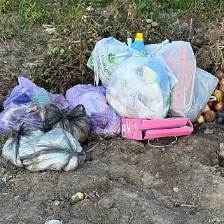 Алексей Боровский вновь обращается к борчанам 1