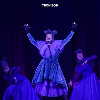 В Борских учреждениях культуры и образования начались новогодние представления 8