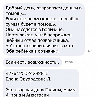 Борская семья серьёзно пострадала в аварии в Татарстане 3