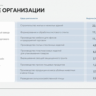 У Бора есть инвестиционный паспорт 6