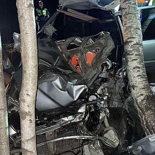 Борская жесть 7