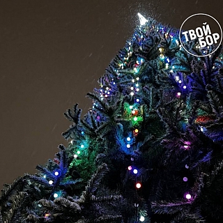 Новый год всё ближе, ёлок на Бору всё больше 1