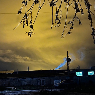 Борские теплицы способствуют творчеству 5