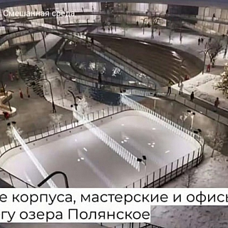 Город будущего хотят строить в борских лугах 6