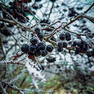 Между осенью и зимой 2