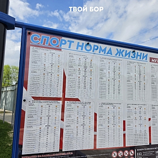 Площадка для подготовки к сдаче нормативов ГТО на "Спартаке" почти готова 1