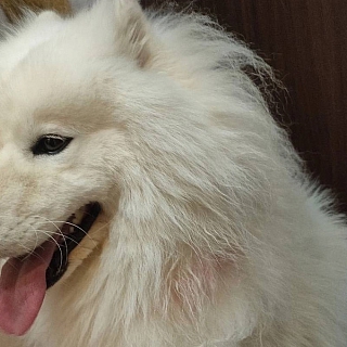 Страшные истории из Неклюдово 3