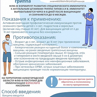 Где сделать прививку от гриппа на Бору 2