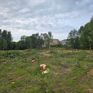 Видимо, три фотографии для истории 3