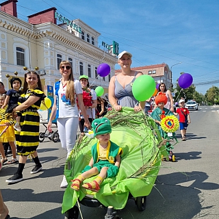 На Бору состоится парад колясок 7