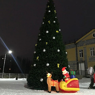 Подведены итоги смотра-конкурса «Борская зима» 3