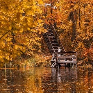 Где ловить золотую осень борчанам? 1