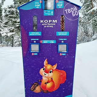 Борским белкам понравится 1