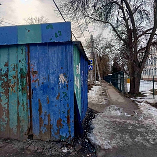 Борчанка решила действовать! 3