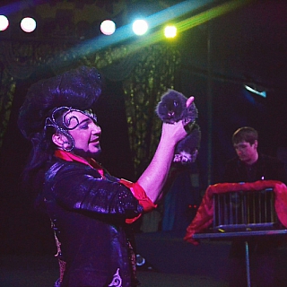 с 14 по 23 мая гастроли Омского цирка-шапито "ФАРАОН" в городе Бор 4