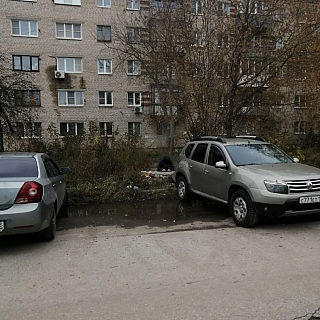 Борчанка рассказала об аморальных соседях 1