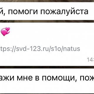 Мошенники добрались до аккаунтов борчан 2