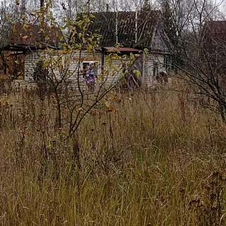 В Кантаурово бесследно пропала женщина 3