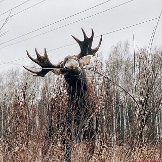 Итоги 2019 года: номинация "Чудо природы" 10