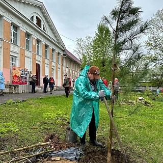 Новая Аллея появилась на Бору 10